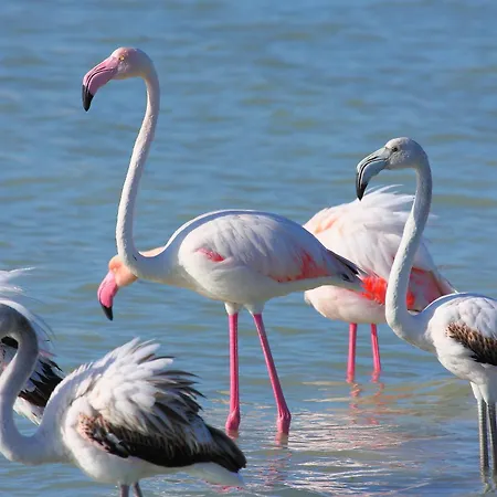 Boutique House 펜션