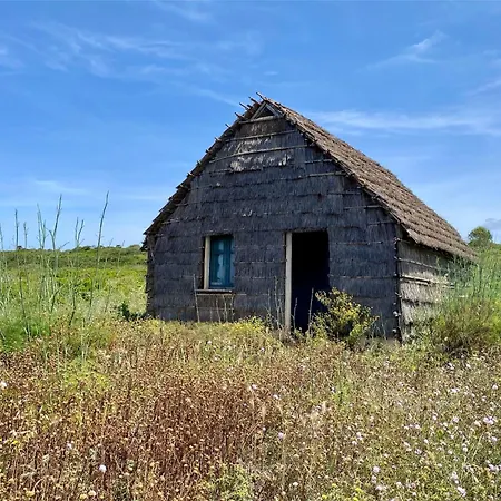 Boutique House Дом отдыха Торре-Гранде