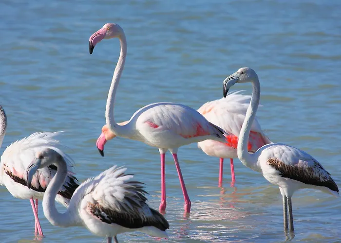 Boutique House Дом отдыха