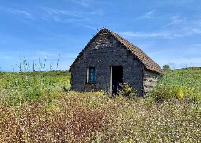 Boutique House Дом отдыха Торре-Гранде